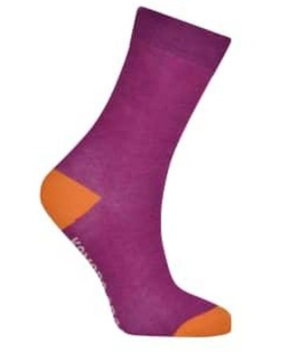 Komodo Punchy Organic Cotton Socks - Viola