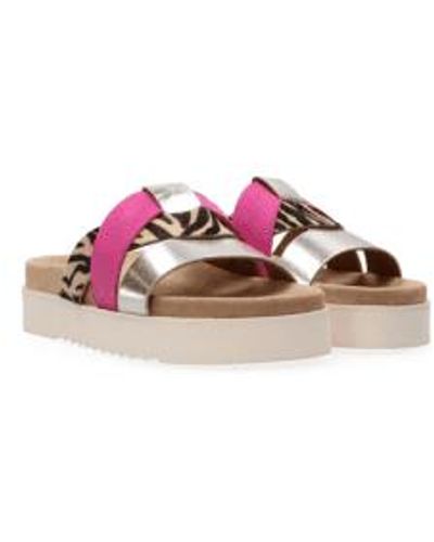 Maruti Bari Leather Sandals In Combi - Rosa
