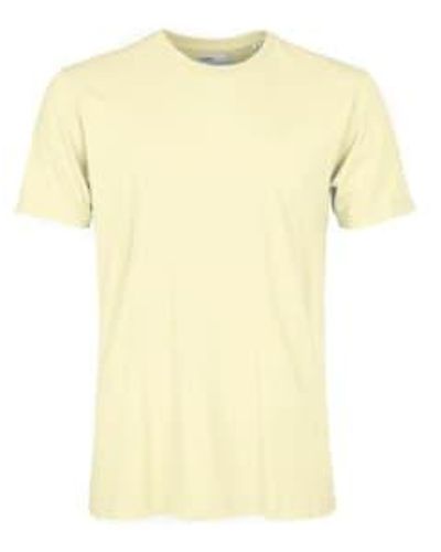 COLORFUL STANDARD Classic Tee Soft Xl - Yellow