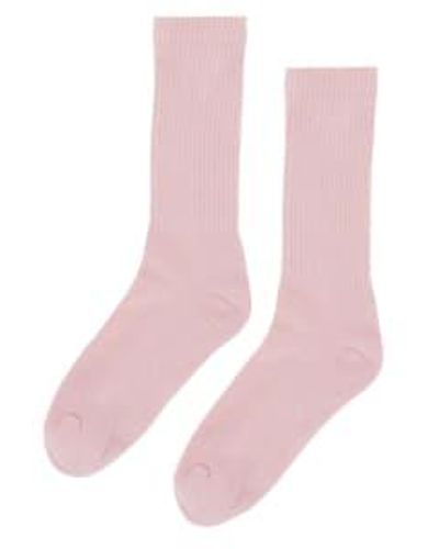COLORFUL STANDARD Organic Active Sock Faded 1 - Rosa
