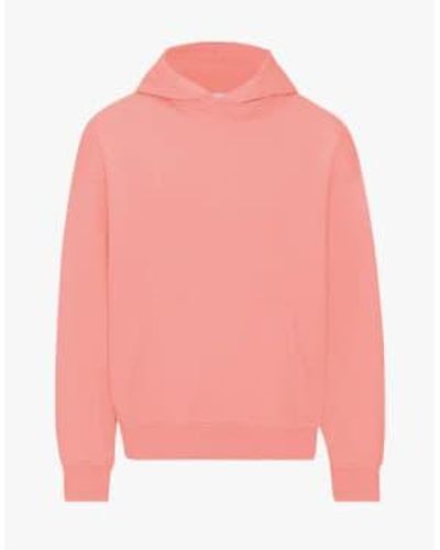 COLORFUL STANDARD Organic Oversized Hoodie Bright / S - Pink