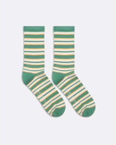Far Afield Afsk211 Ribbed Stripe Sock In Frosty - Verde