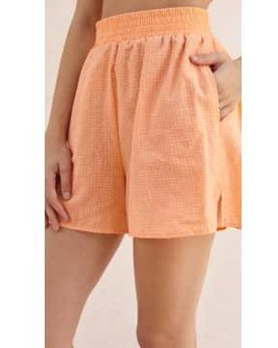 Charli London Sierra shorts in koralle - Orange