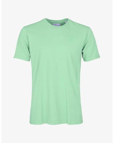 COLORFUL STANDARD Camiseta Organic - Grün