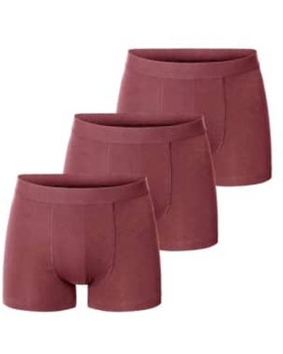 Bread & Boxers 3 Pack Boxer Brief Burgundy - Rosso