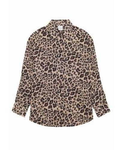 Petite Mendigote Tomy Shirt Leopard Xs - Brown