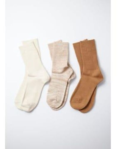 RoToTo Ecru/ Organic Daily 3 Pack Ankle Socks S - White