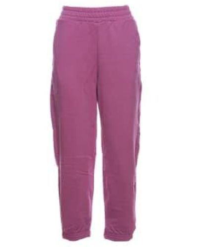 adidas Originals Sweatpants Hm1799 38 - Purple