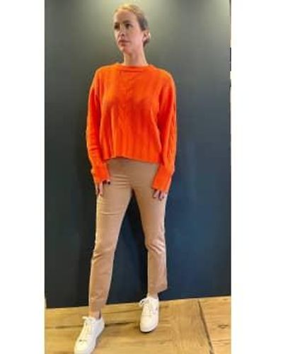 SteHmann Camel Igor Pull On Trouser Size 8 - Orange