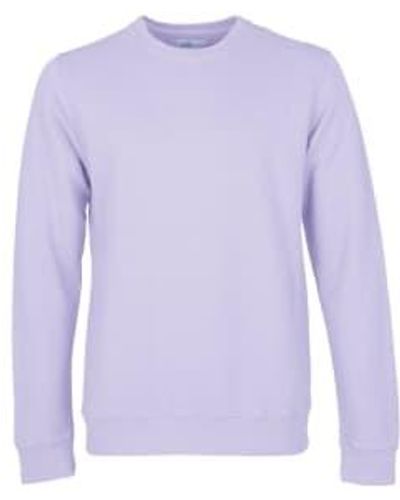 COLORFUL STANDARD Soft Lavender Organic Cotton Crew Neck Sweatshirt Xl - Purple