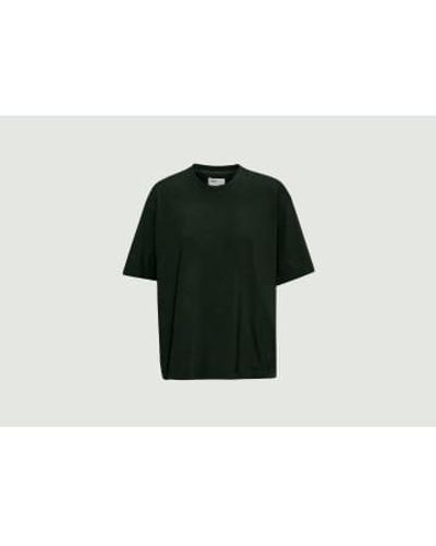 COLORFUL STANDARD Übergroßes Bio-T-Shirt - Grün