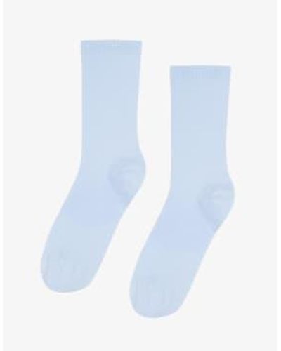 COLORFUL STANDARD Cs6001-6002 chaussettes organiques bleu polaire