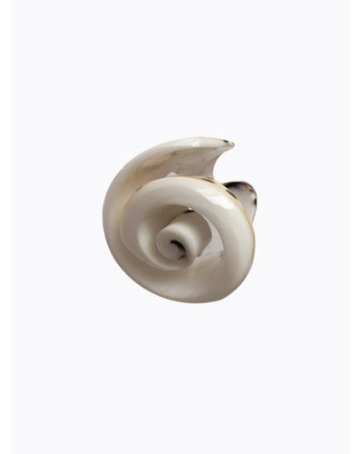 Eyland Rhonda Shell Ring - White