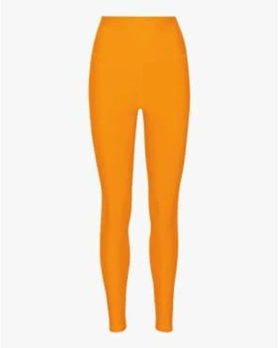 COLORFUL STANDARD Active High-rise leggings Sunny Xs - Orange