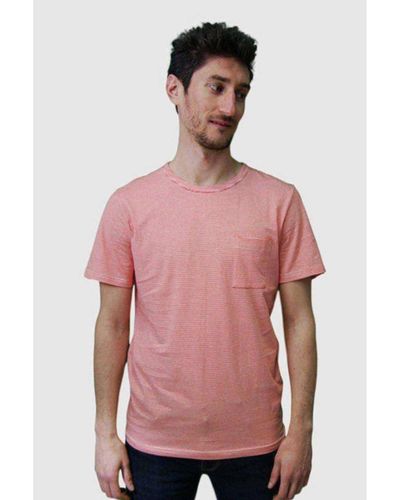 Suit Baldrian Grenadine T-shirt - Pink