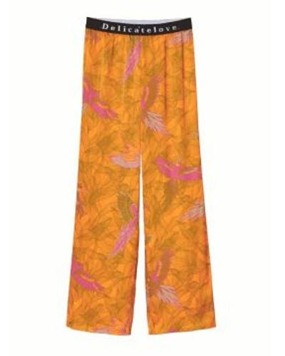 Delicate Love Lalu Parrot Trousers Uk 8 - Orange