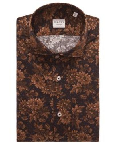 Xacus Shirt Collar Cutaway Poplin Size 43 - Brown