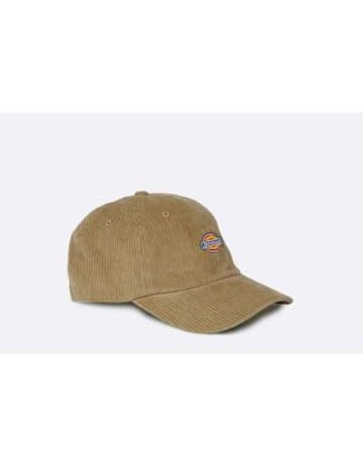 Dickies Hardwick cord cap - Marron