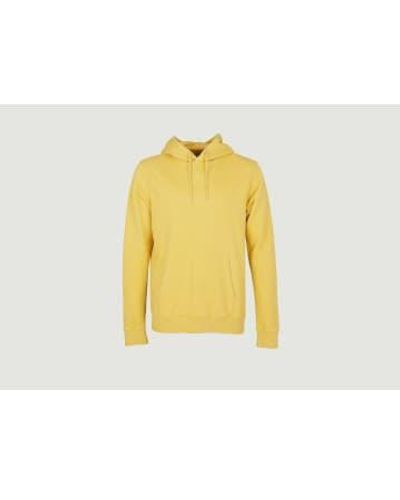 COLORFUL STANDARD Sudara con capucha clásica algodón orgánico - Amarillo