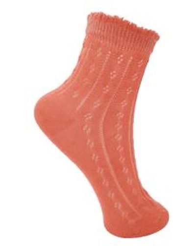Black Colour Kissa Sock Lt Coral - Pink