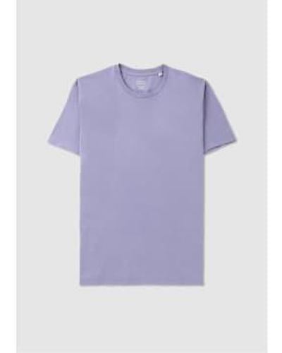 COLORFUL STANDARD T-shirt biologique classique en violet ja