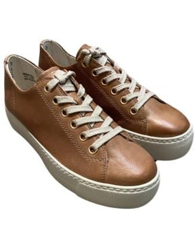 Paul Green 'sindri' Sneaker 4 / Tan - Brown