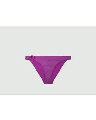 Love Stories Coral Bikini Briefs S - Purple