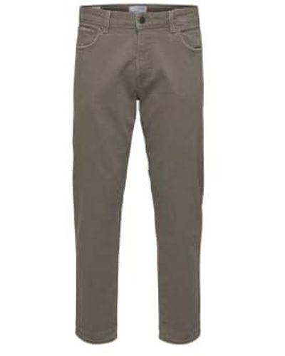 SELECTED Jeans Court Taupe - Gris