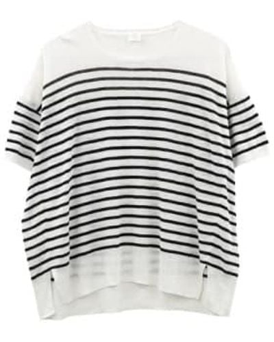 C.t. Plage T-shirt Ct24131 /grey 38 - White