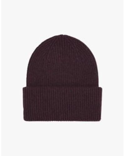 COLORFUL STANDARD Merino Hat Oxblood Red / Os - Purple