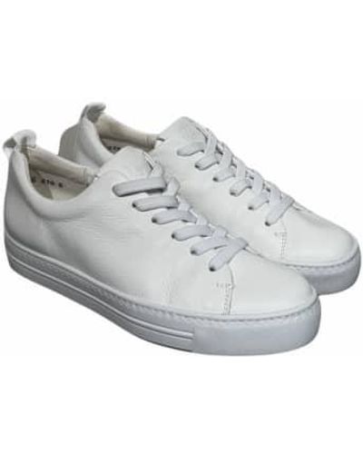 Paul Green Paul Eldon Trainer - Grigio