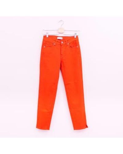 Five Jeans Pantalon droit basique - Orange