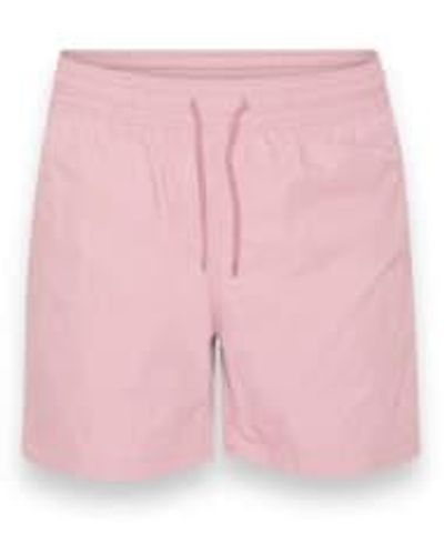 COLORFUL STANDARD Pantalones cortos natación clásicos rosa steñido