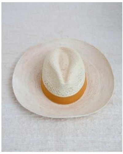 Beaumont Organic Fedora Hut mit Sonnenrand - Grau