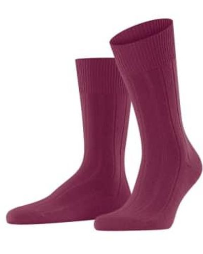 FALKE Plum Lhasa Ribbed Socks 39-42 - Purple