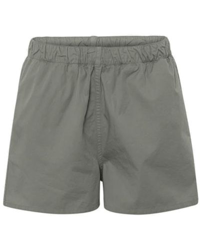 COLORFUL STANDARD Organic Twill Short Pants - Gray