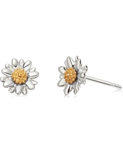 Daisy London Earrings and ear cuffs for Women | Online Sale up to 50% ...