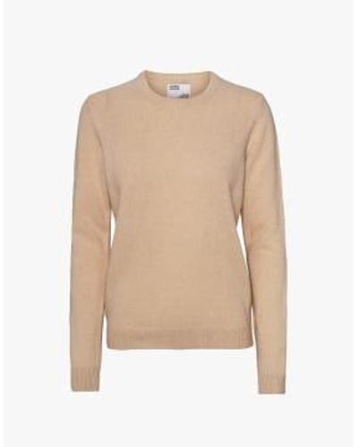 COLORFUL STANDARD Cs5087 classic merino crew honey beige - Neutro