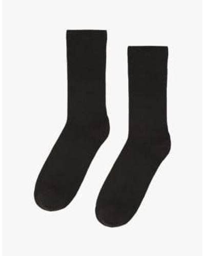 COLORFUL STANDARD Classic Organic Sock 1 - Nero