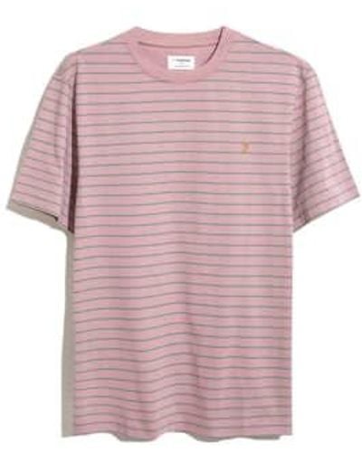 Farah And Blue Striped T-shirt - Pink