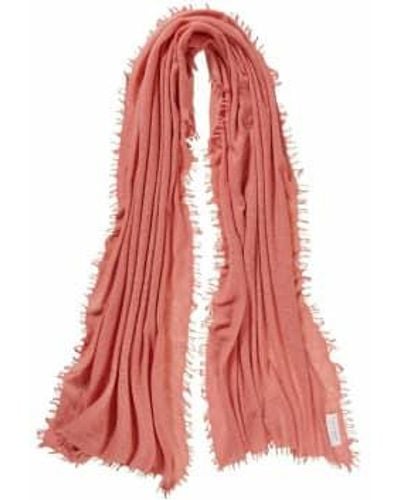 PUR SCHOEN Hand Felted Cashmere Soft Scarf Papaya + Gift - Red