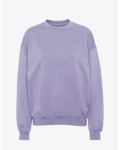 COLORFUL STANDARD Jade Organic Cotton Crew Neck Sweatshirt M - Purple