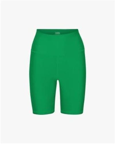 COLORFUL STANDARD Active Bike Shorts Kelly S - Green