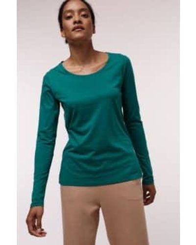 Lanius Tshirt algodón orgánico ver - Verde