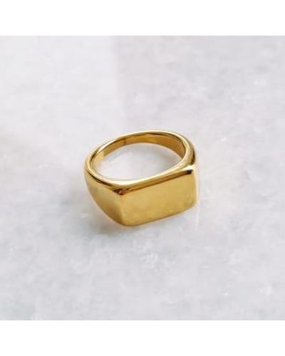 Golden Ivy En Ivy Cailin Stainless Steel Ring - Metallizzato