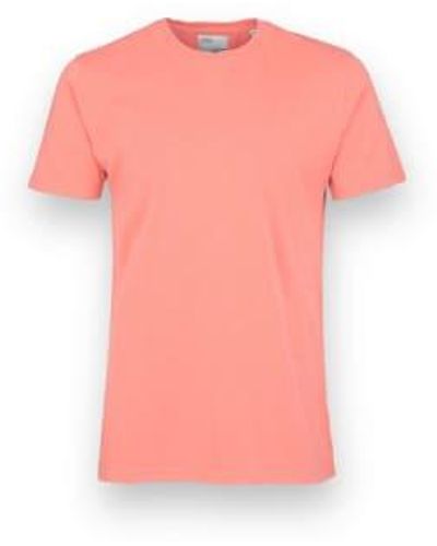 COLORFUL STANDARD Classic Tee Bright Coral Xl - Pink