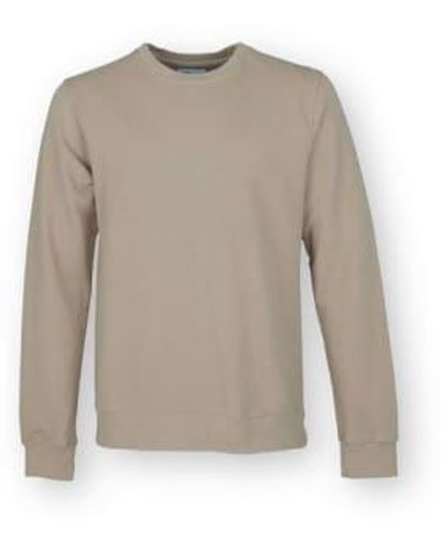 COLORFUL STANDARD Crew Sweat Oyster S - Gray