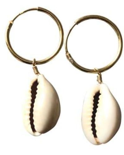silver jewellery Jewellery Cowrie Shell Small Hoop Earrings Gold Plated - Metallizzato