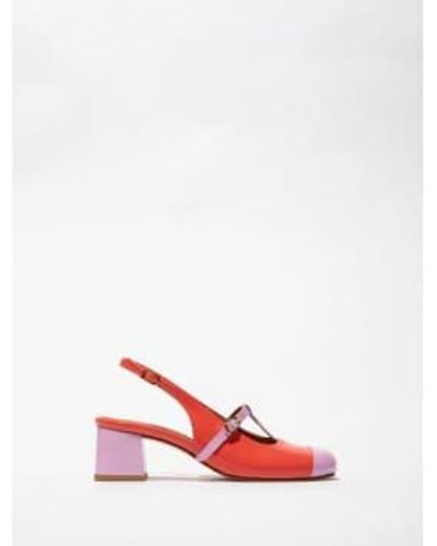 Fly London Soln083 - Red