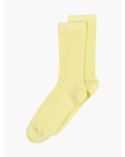 mpDenmark Cotton Rib Ankle Socks Wax 37-39 - Yellow